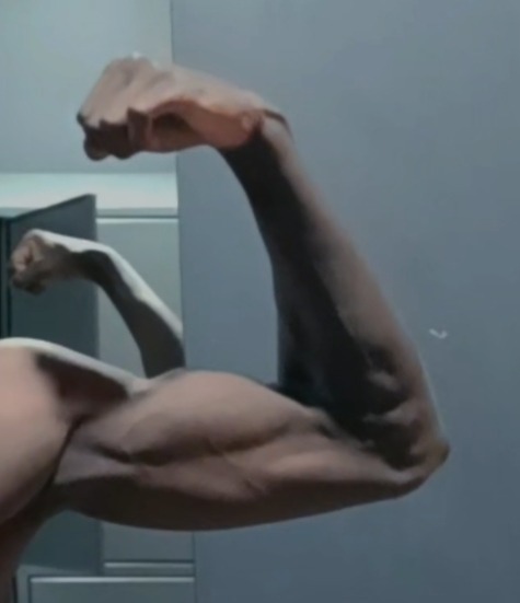 Profil de Pako