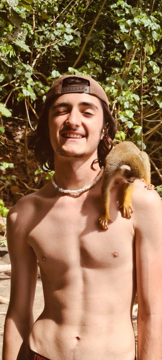 Profil de Veli